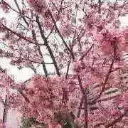 mamepori☆値下げ交渉OKの画像
