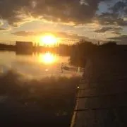 夕日のアヒルの画像
