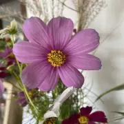 あっぷる