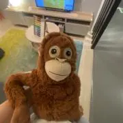 Yayaの画像