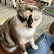 MJYの画像