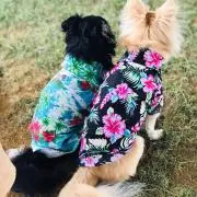 おまとめOKの画像