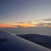 わにこの画像