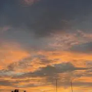 わい