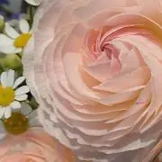 みるみる★プロフィールご一読ください★の画像
