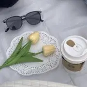 しゃの画像