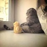 やさい*の画像