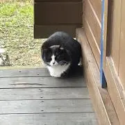 ゆっぴの画像