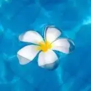 yusa
