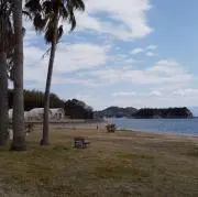 susukiの画像