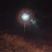 高橋の画像