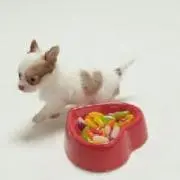KWR