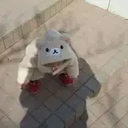 REDの画像