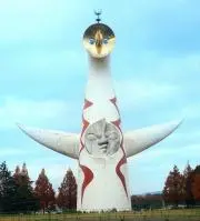 TMGの画像