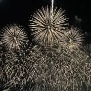 きょんの画像