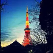 まーちゃんの画像