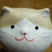 ミミ