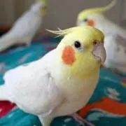 ちいこ★難病の為体調崩し返信遅れる場合有