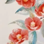 mintの画像