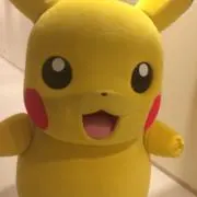 ぴかの画像