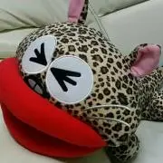 ぶーちゃん