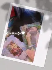 いかの画像