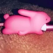 うさぎ