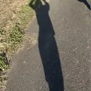 Haruの画像