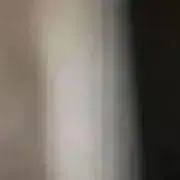 こだまん