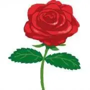 ROSEの画像