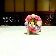 yuairi☺の画像