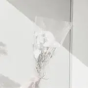 ミント☆プロフ必読の画像
