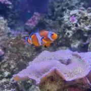 なの画像