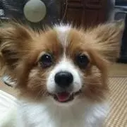 ごもっち
