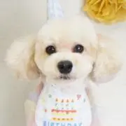 すんちゃん