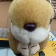 としの画像