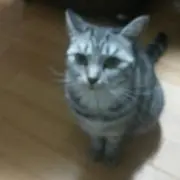 ぷーちゃん