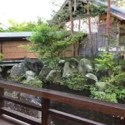 ココアの画像