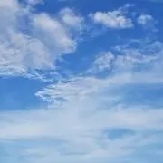 りんの画像