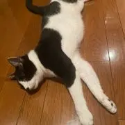 かおりの画像