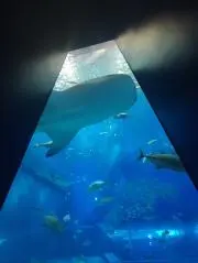 プロフ読んで下さいの画像
