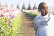 砂かぶり