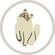なこちの画像