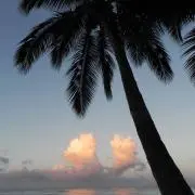 sky☆の画像