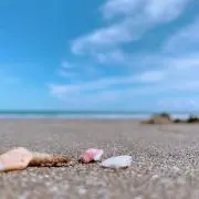 Smamaの画像