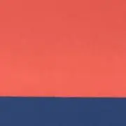 taraの画像