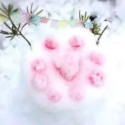 ロゼッタ   ※プロフ確認