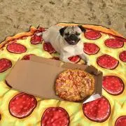 ぴざの画像