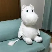 yopiの画像