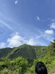 森の木っ子の画像